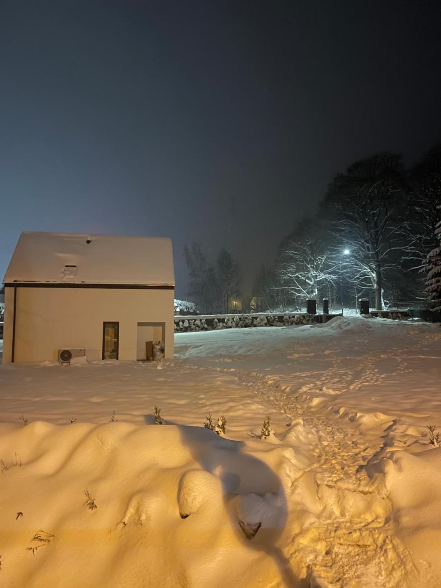 Villa Minimal. Dom Caloroczny W Gorach *
